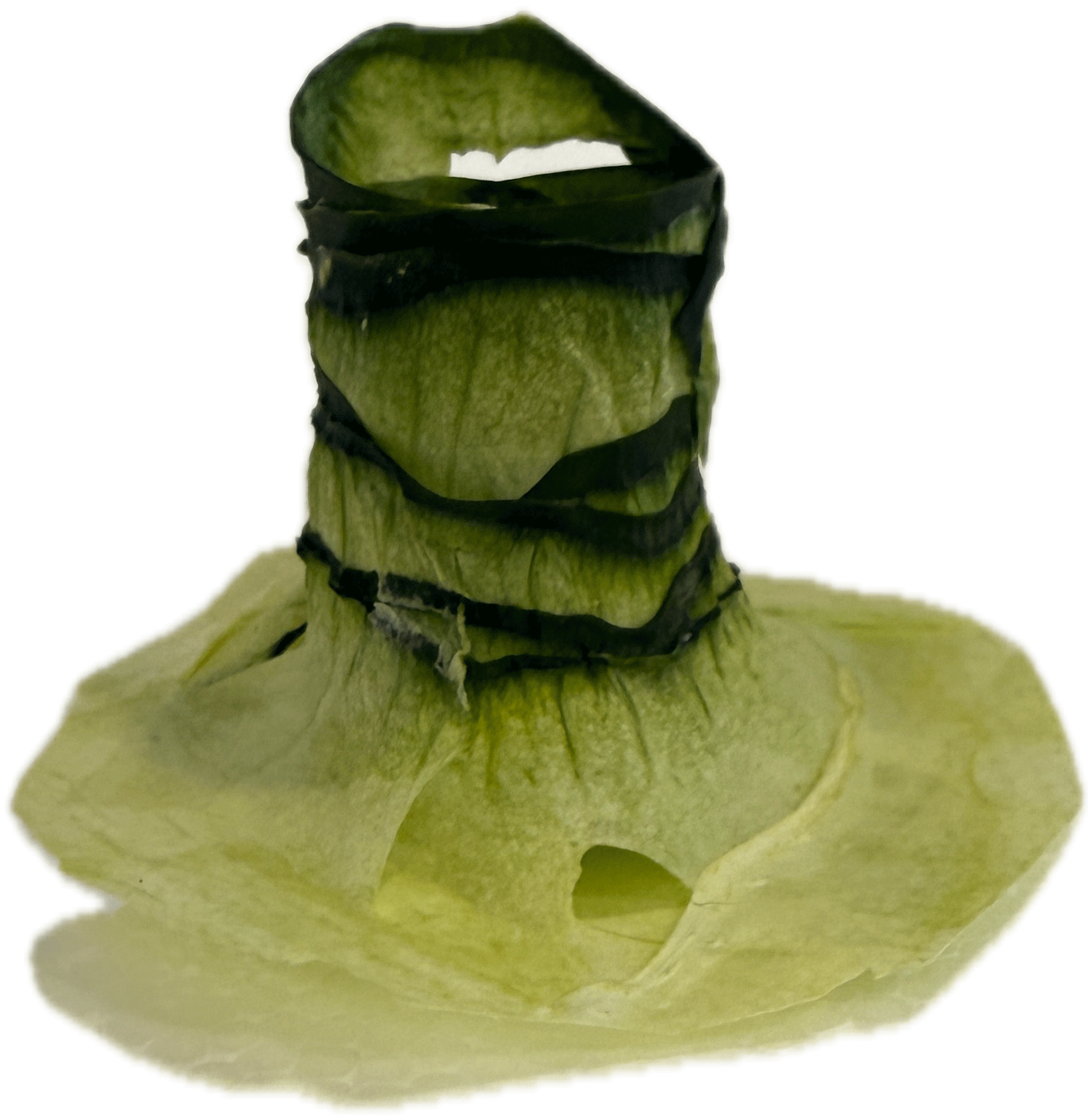 April Hat Dust