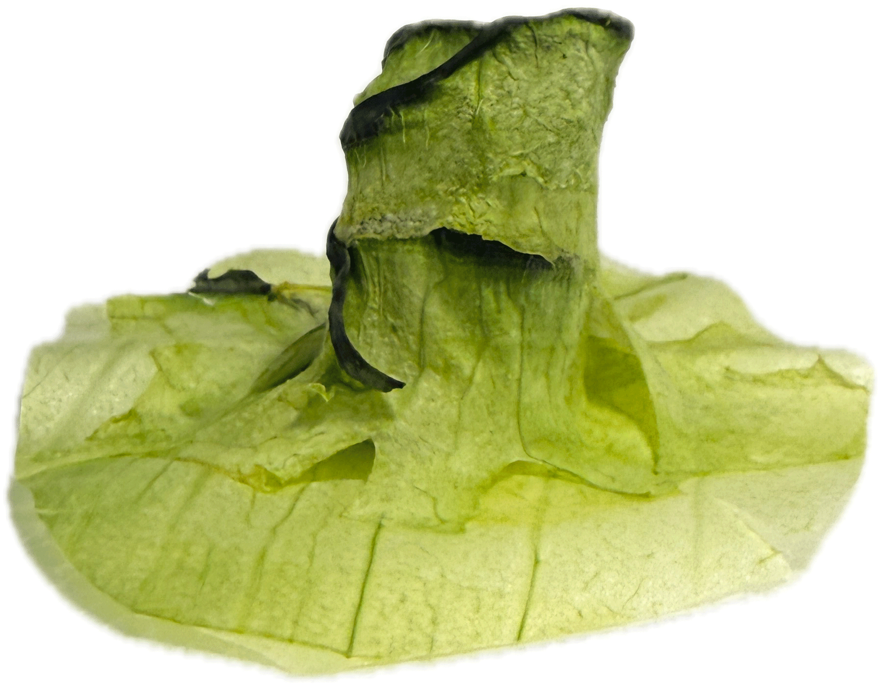 May Hat Dust