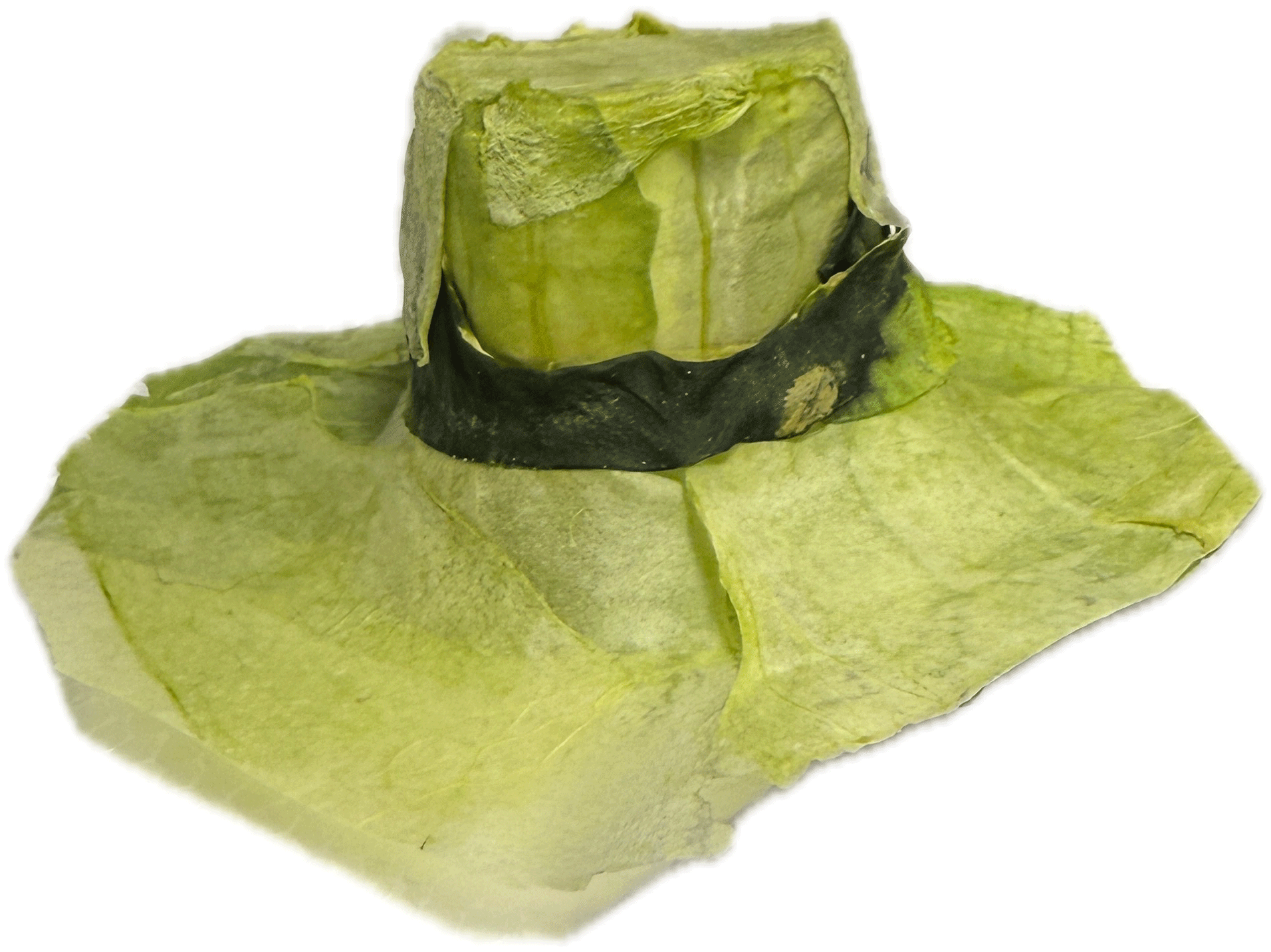 May Hat Dust