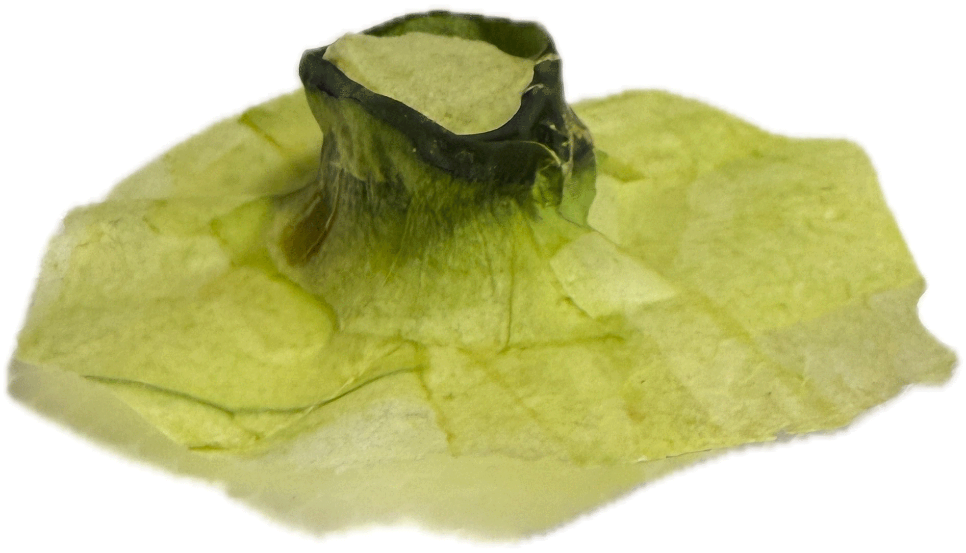 May Hat Dust