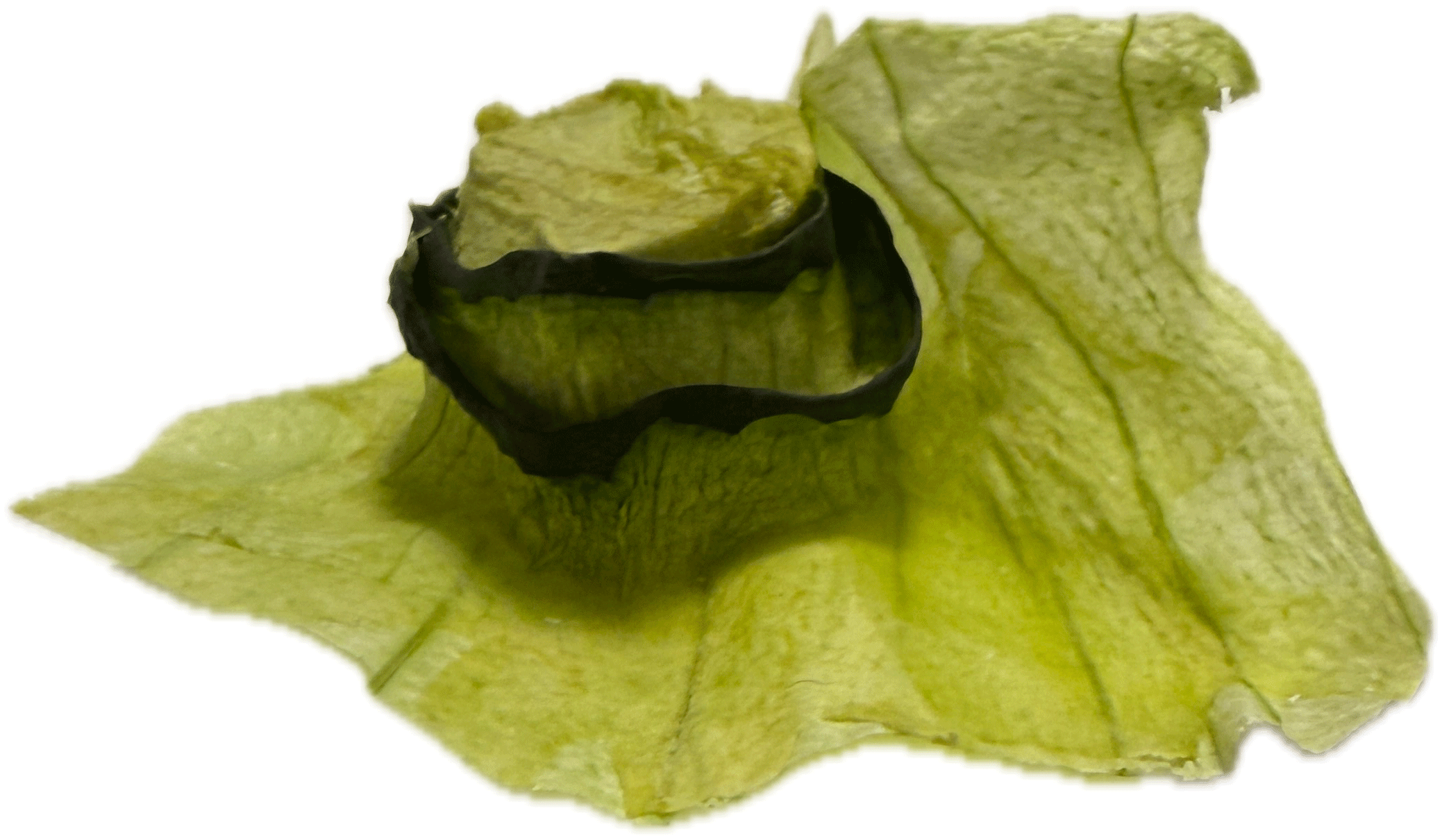 May Hat Dust