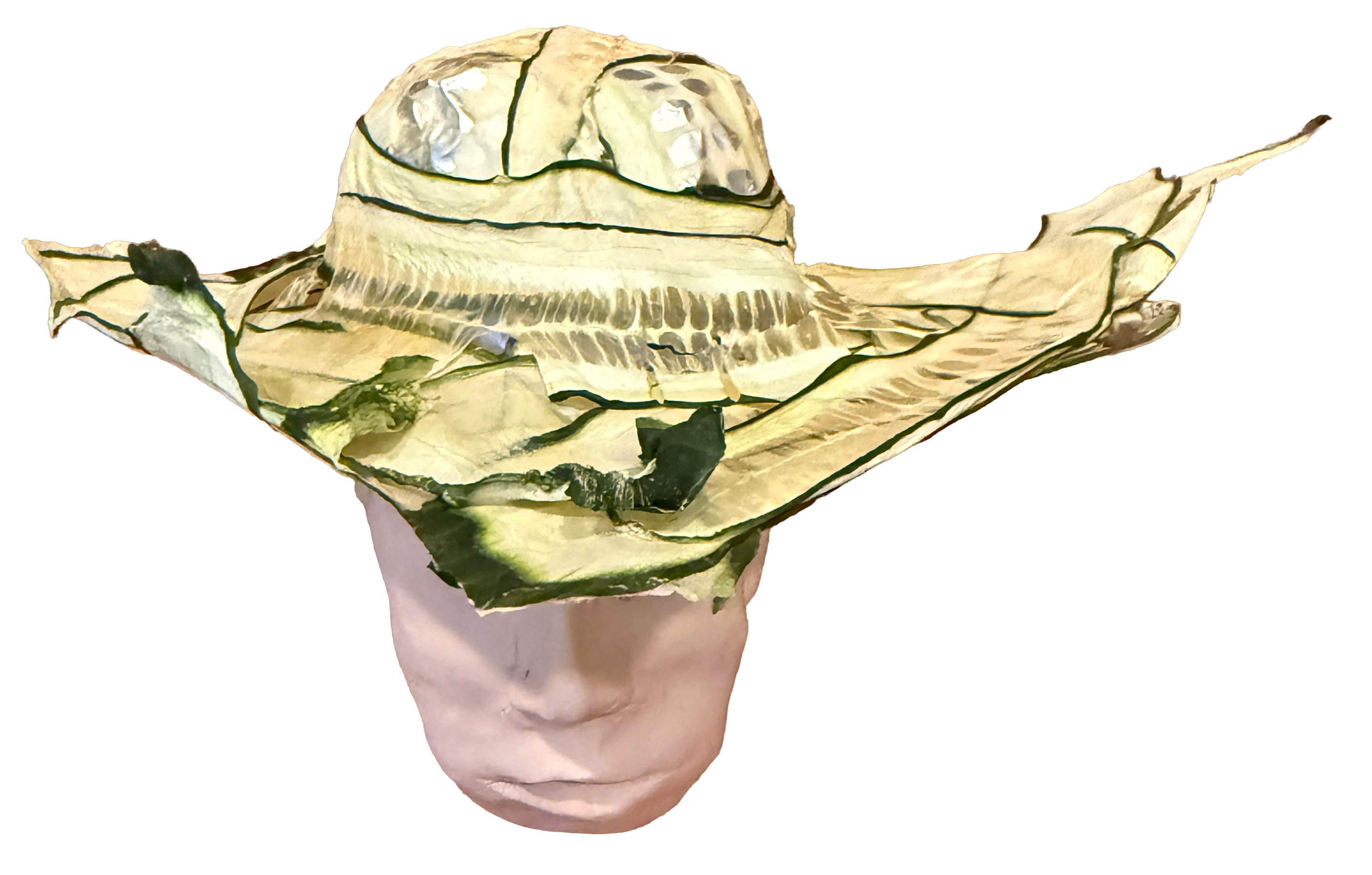 JUNE HATS AND DUST