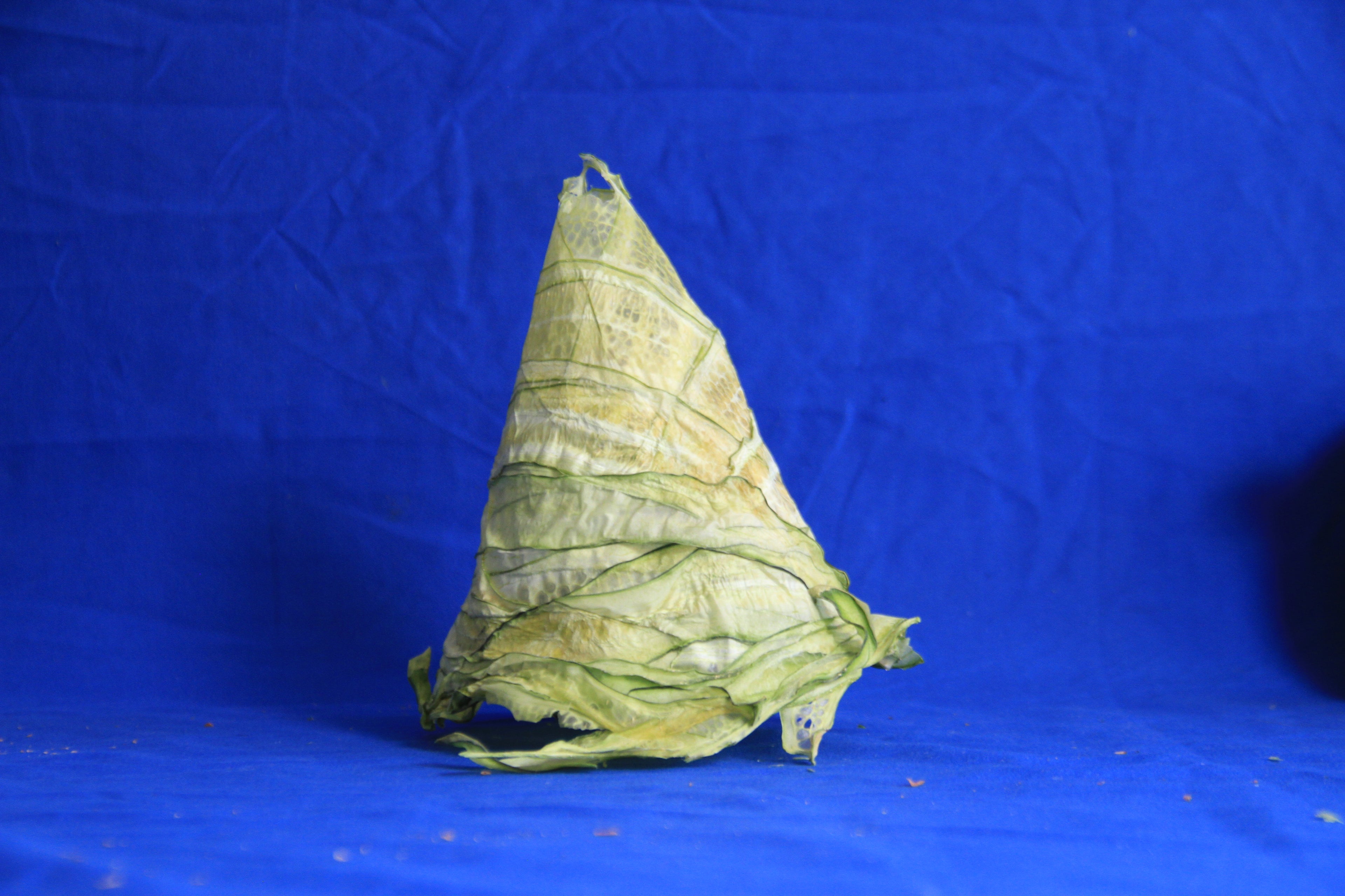 JANUARY CUCUMBER HAT DUST RITUAL NECKLACE