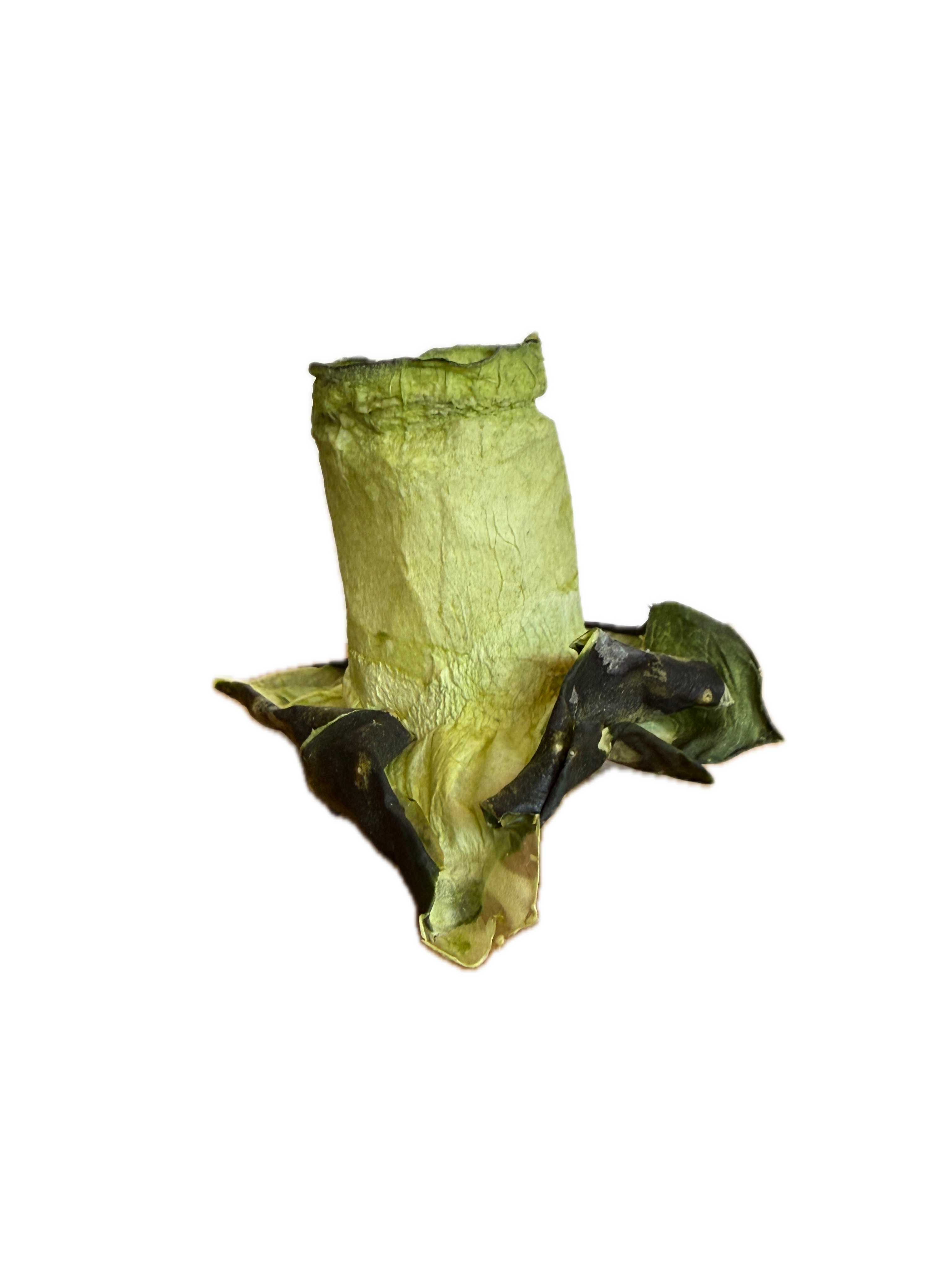 MARCH CUCUMBER HAT RITUAL NECKLACE